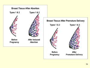 skylark abortion clinic 0846653503